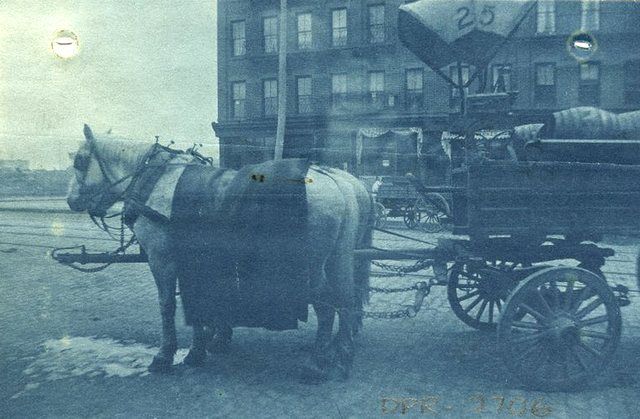 "Washington Square Park horse troughs. Photograph of horse & wagon; originally attached to drawing."